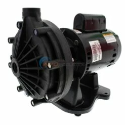 Pentair Booster Pump For Pressure Side Pool Cleaners, 115-230 Volt - EC-LA01N